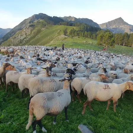 度假居 A La Ferme 阿克斯莱泰尔姆