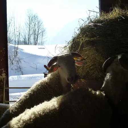 A La Ferme 度假居